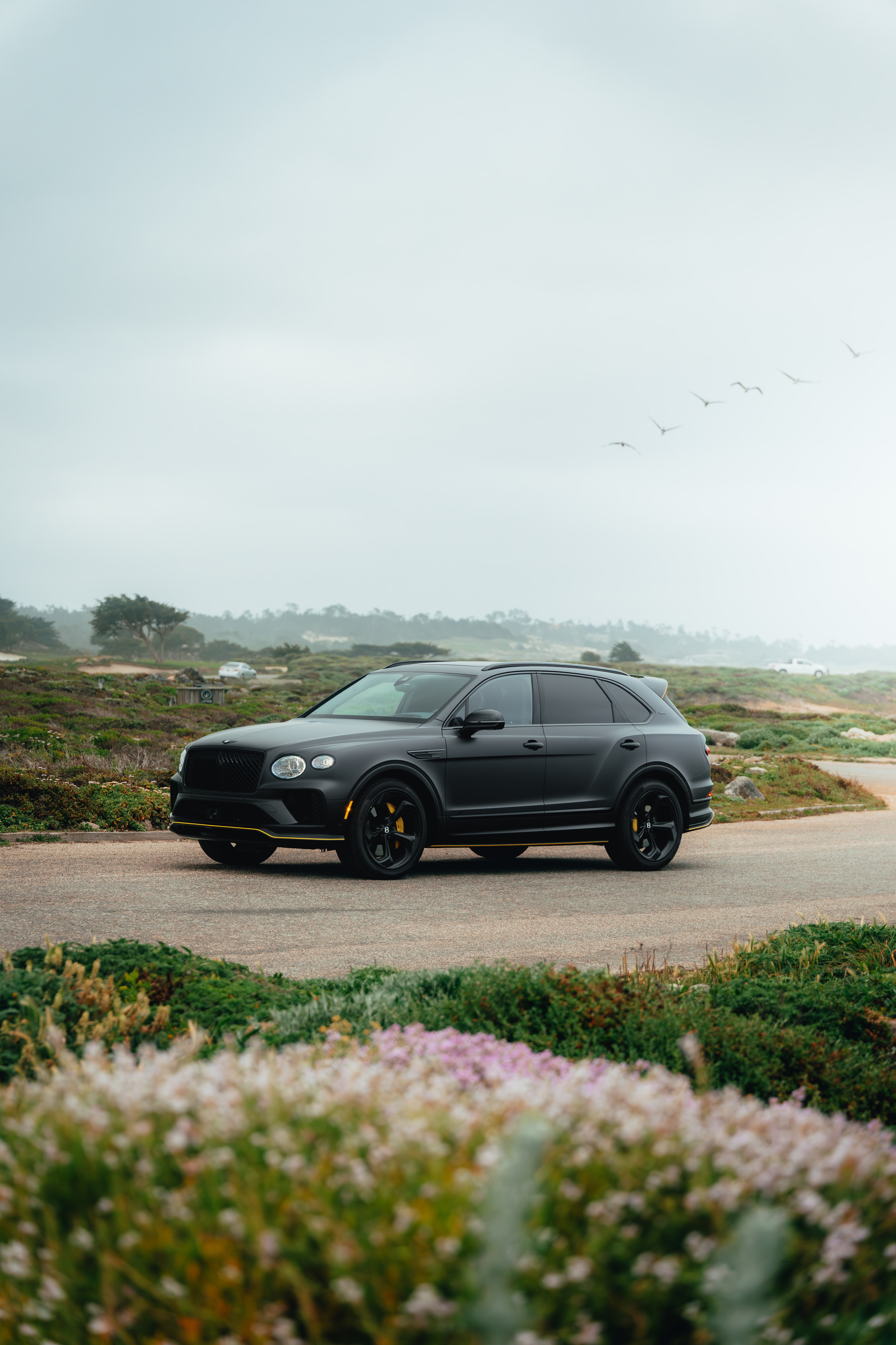 Bentayga side profile at a coastal overlook with wildflowers, birds overhead