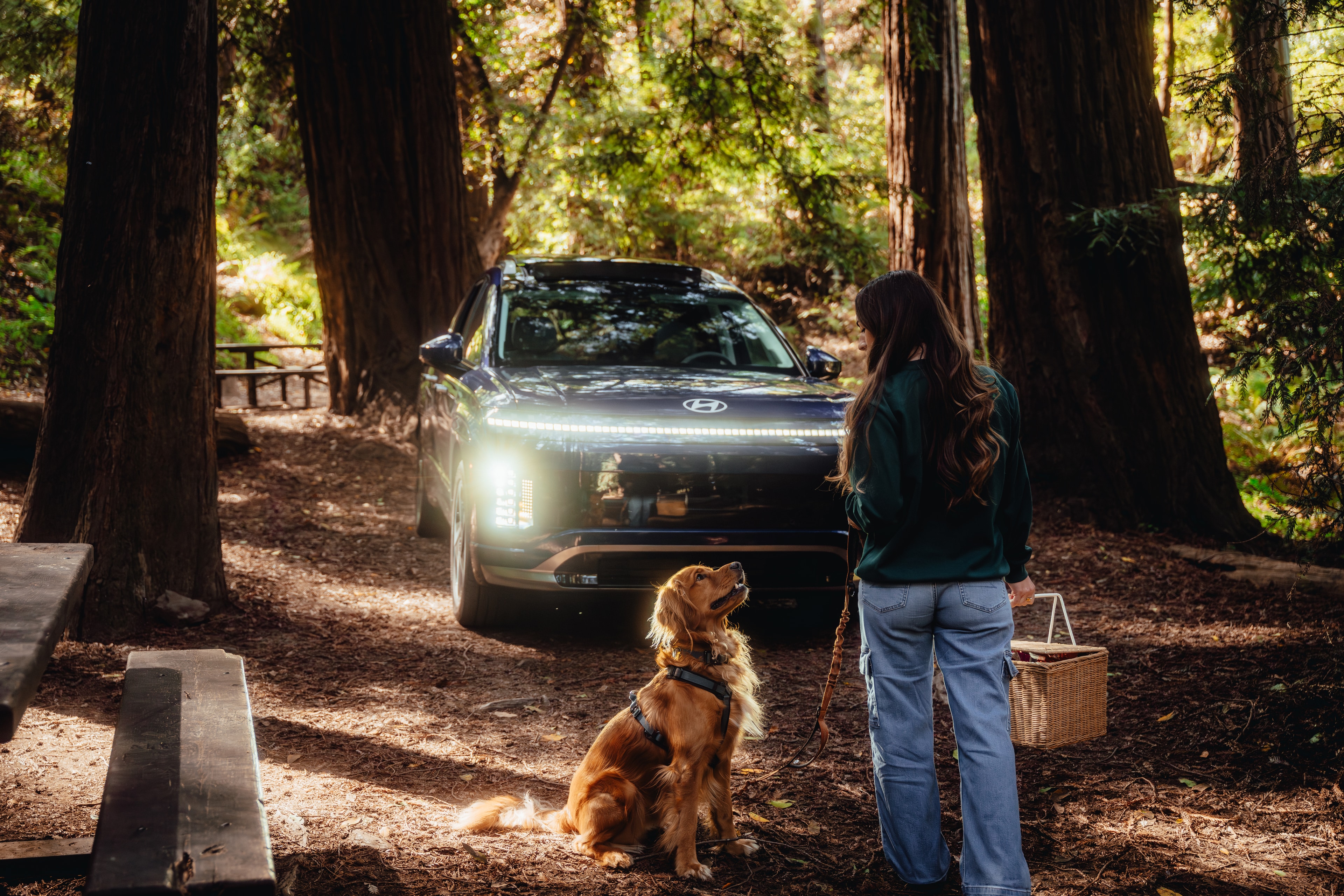 A woman and a golden retriever at a redwood picnic beside the IONIQ 9