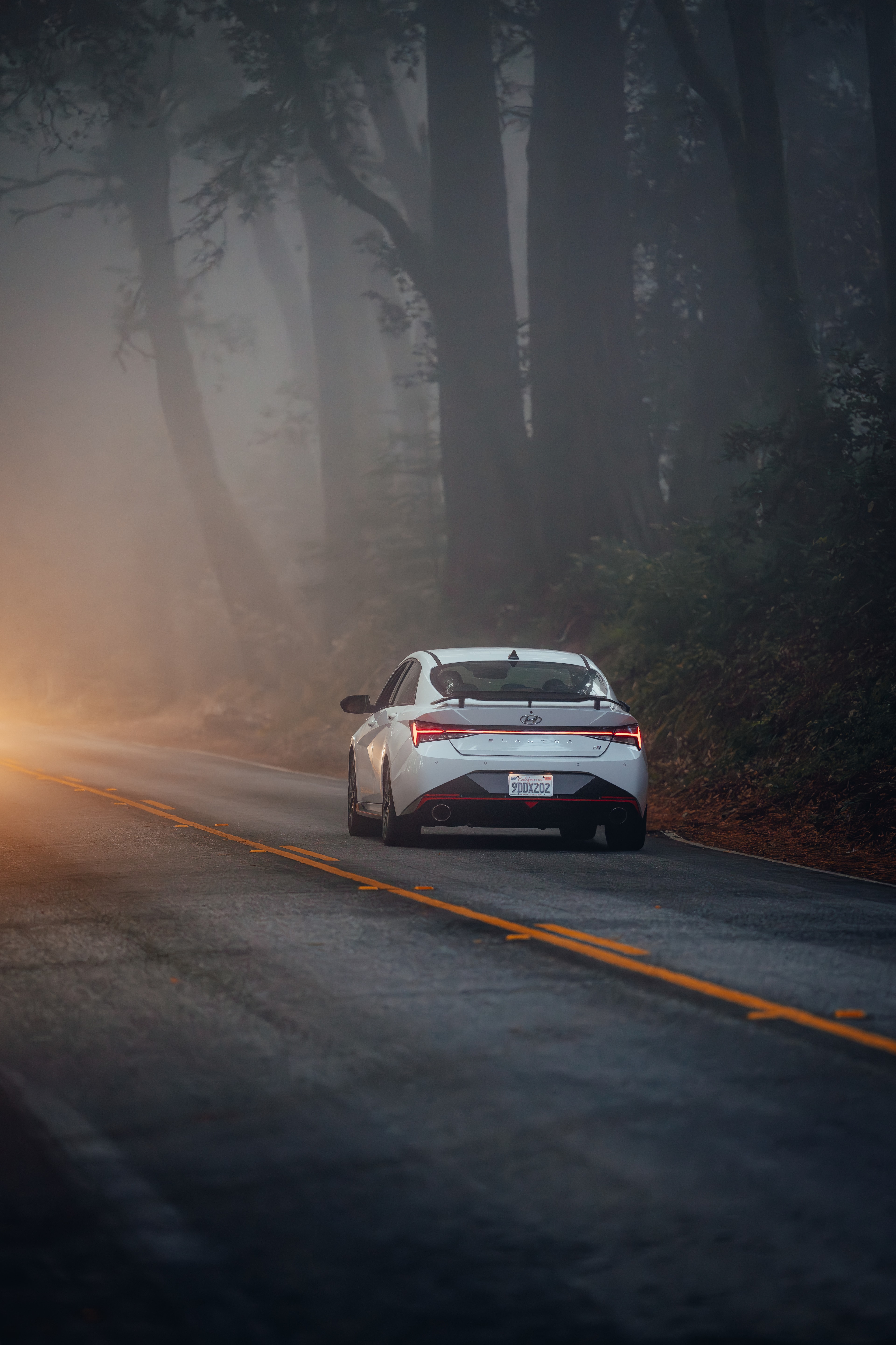 Hyundai Elantra N rear in the foggy forest, tail light bar lit, lens flare