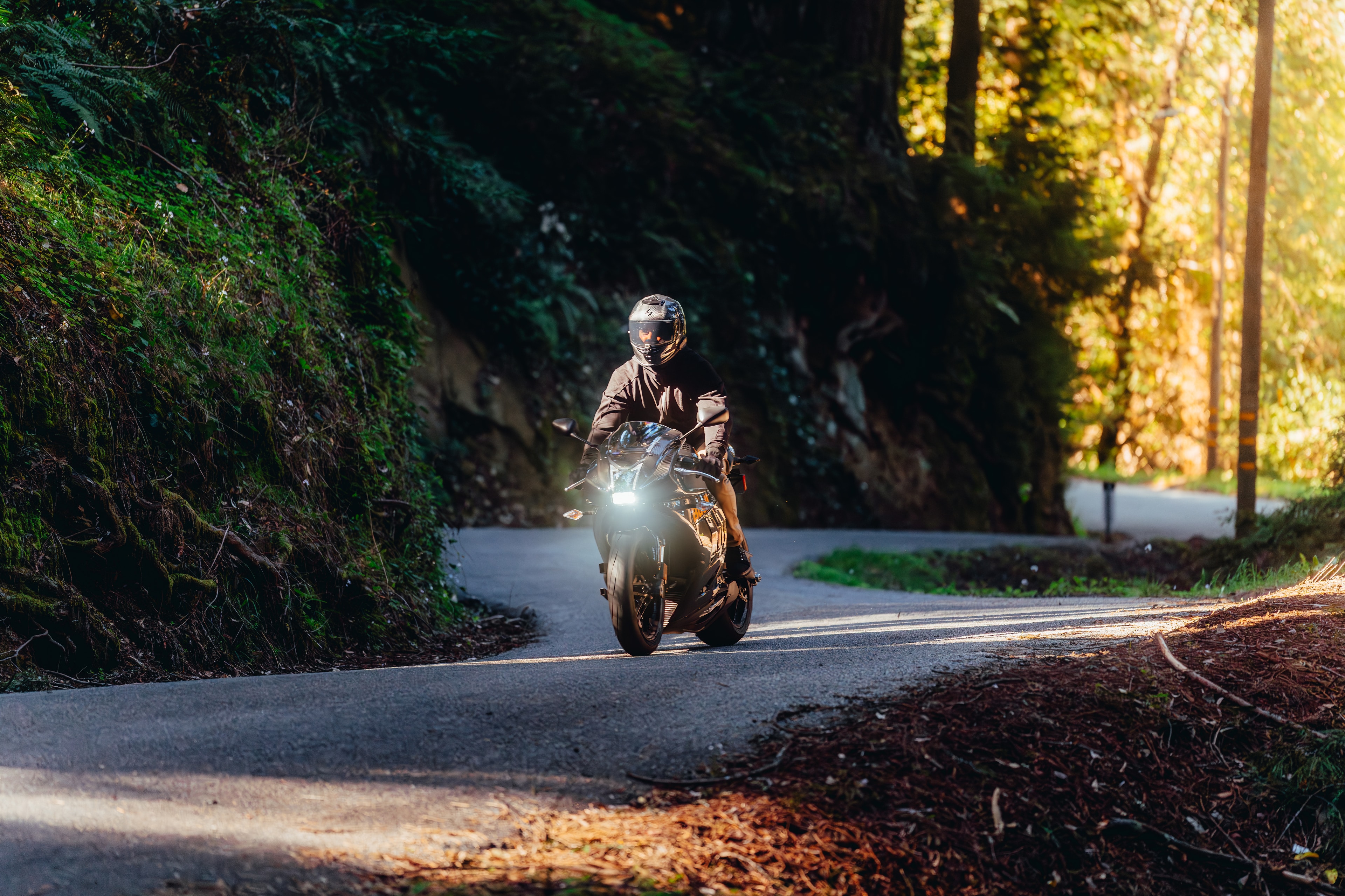 Rider on a Buell sportbike in motion on a golden-hour redwood canyon road