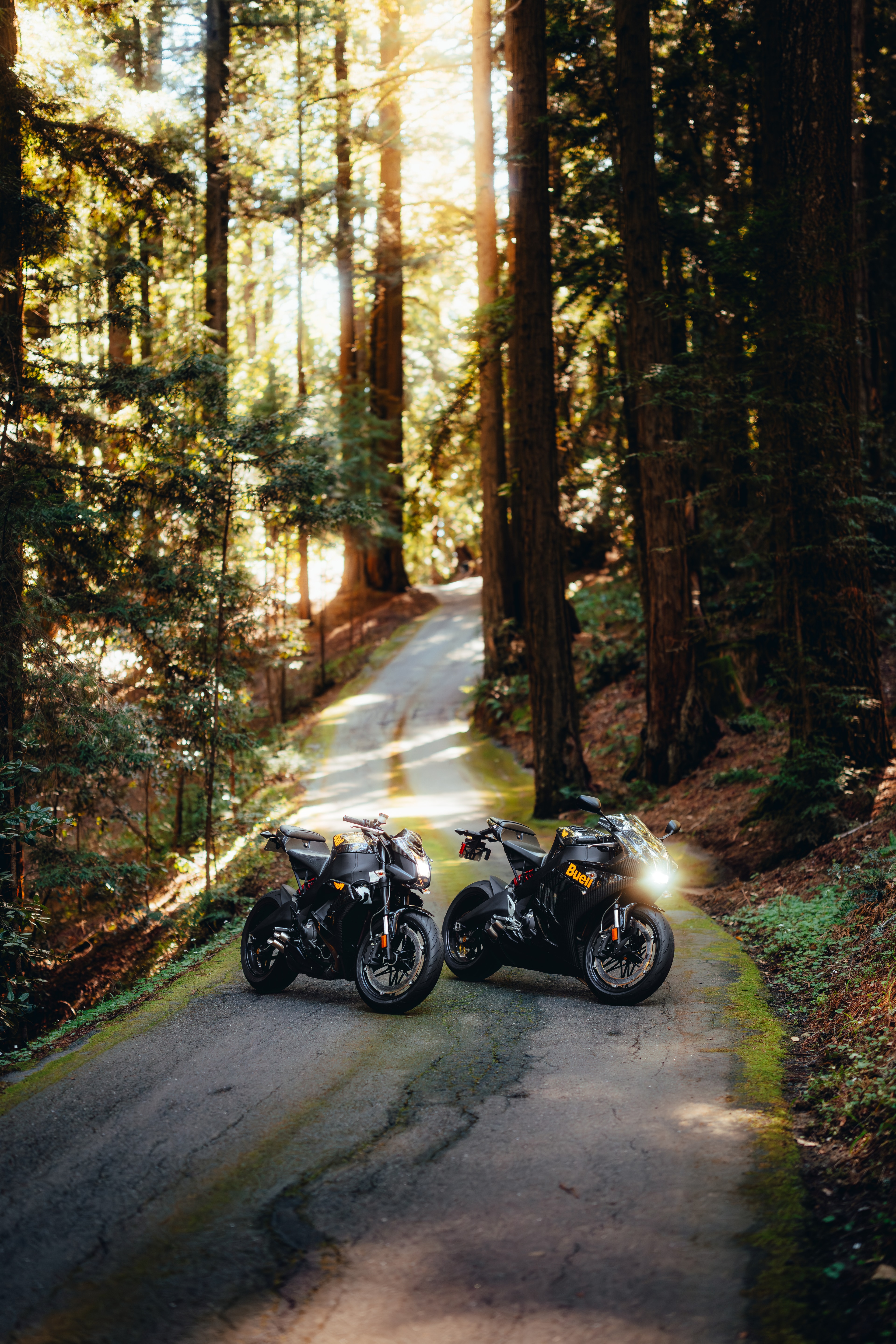 Both Buell sportbikes parked on the redwood canyon road, backlit